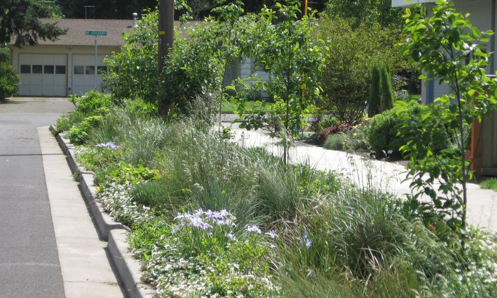 Green streets