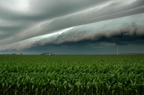 Storms over farms