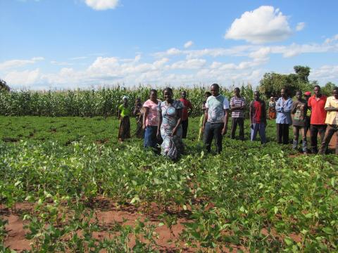 Farmer group