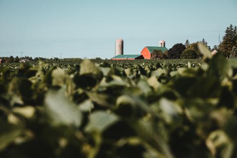 farm with red barn